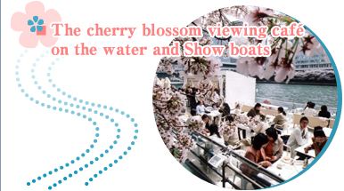 The cherry blossom viewing cafe on the water and Show boats