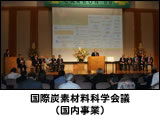 2008年国際炭素材料科学会議（国内事業）